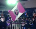 2010年サンバの模様