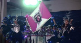 2010年サンバの模様